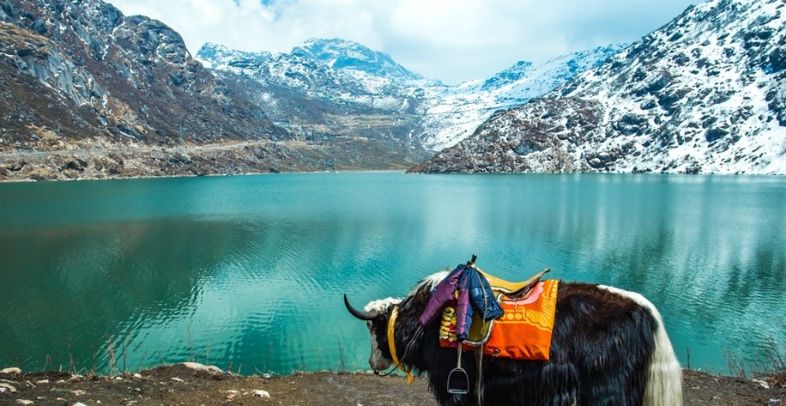 Sikkim